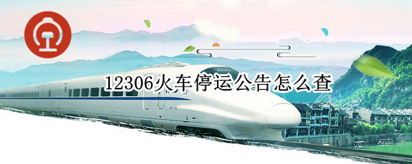 12306火车停运公告怎么查