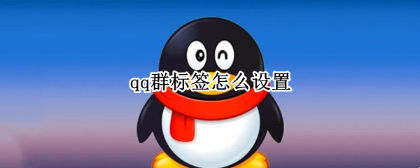 qq群标签怎么设置