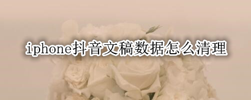 iphone抖音文稿数据怎么清理
