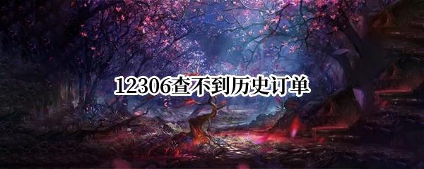 12306查不到历史订单