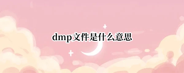 dmp文件是什么意思