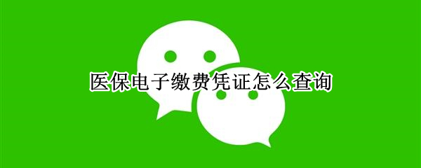 医保电子缴费凭证怎么查询