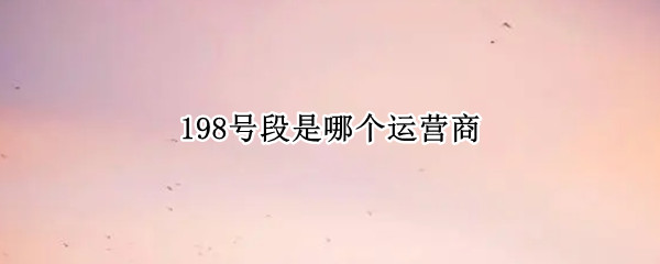 198号段是哪个运营商