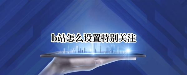 b站怎么设置特别关注