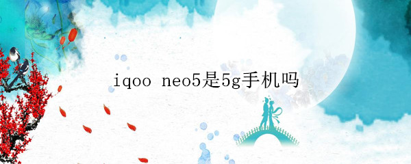 iqoo neo5是5g手机吗