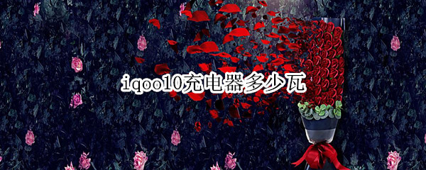 iqoo10充电器多少瓦