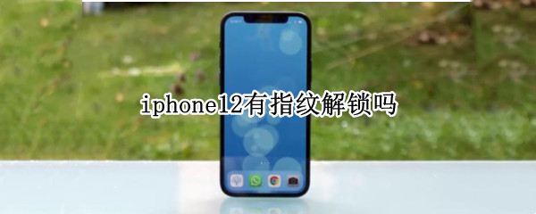 iphone12有指纹解锁吗