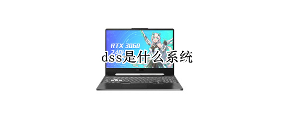 dss是什么系统