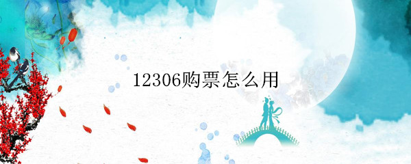 12306购票怎么用