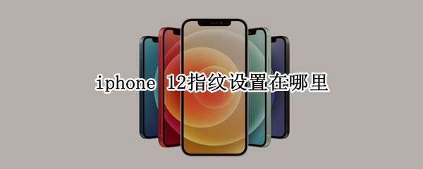 iphone 12指纹设置在哪里