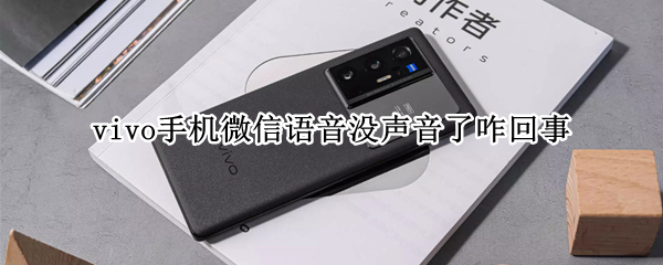 vivo手机微信语音没声音了咋回事