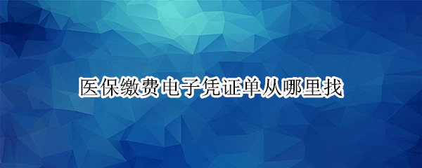 医保缴费电子凭证单从哪里找