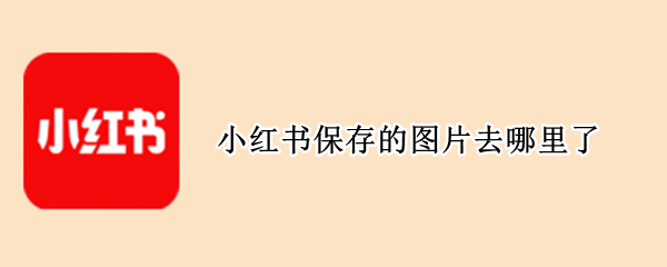 小红书保存的图片去哪里了