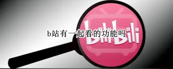 b站有一起看的功能吗