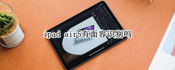 ipad air5有面容识别吗