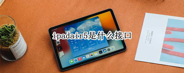 ipadair5是什么接口