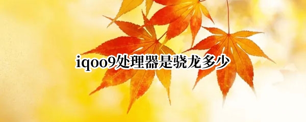 iqoo9处理器是骁龙多少