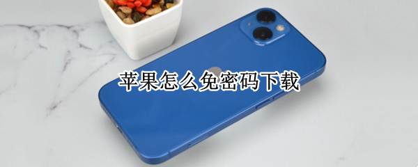 苹果怎么免密码下载