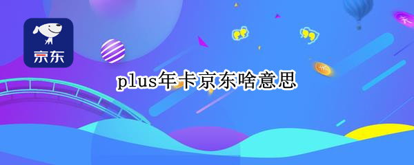 plus年卡京东啥意思
