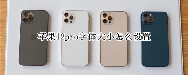 苹果12pro字体大小怎么设置