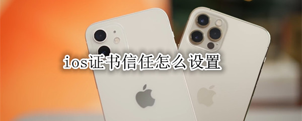 ios证书信任怎么设置