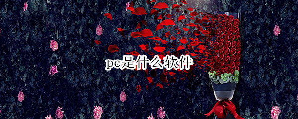 pc是什么软件