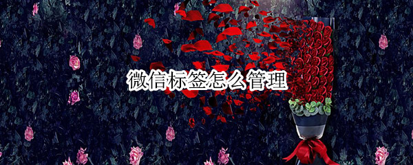 微信标签怎么管理