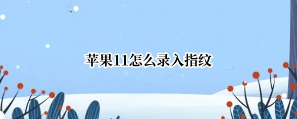 苹果11怎么录入指纹
