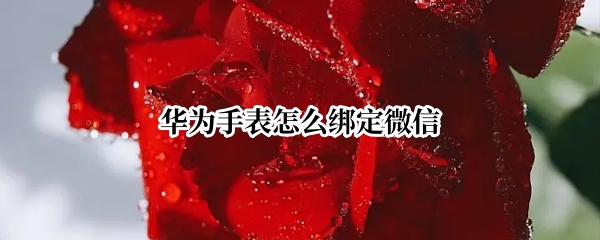 华为手表怎么绑定微信