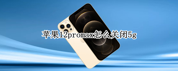苹果12promax怎么关闭5g