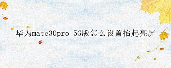华为mate30pro 5G版怎么设置抬起亮屏