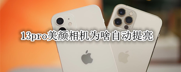 13pro美颜相机为啥自动提亮