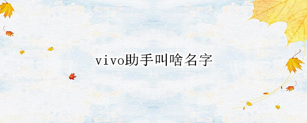 vivo助手叫啥名字