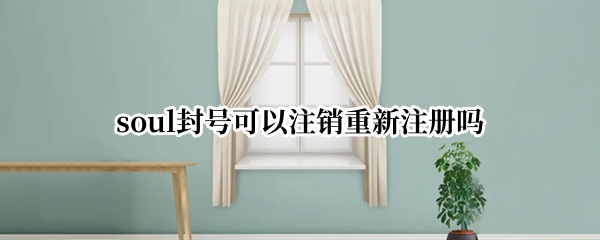 soul封号可以注销重新注册吗
