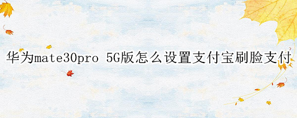 华为mate30pro 5G版怎么设置支付宝刷脸支付