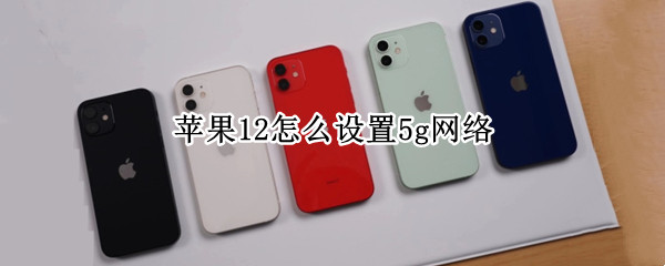 苹果12怎么设置5g网络