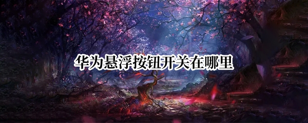 华为悬浮按钮开关在哪里