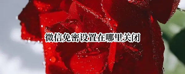 微信免密设置在哪里关闭