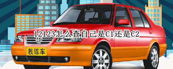 12123怎么查自己是C1还是C2